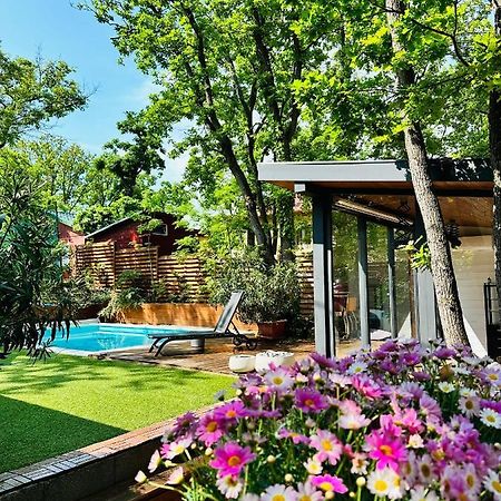 Pine-Wood Resort Балатональмаді Екстер'єр фото