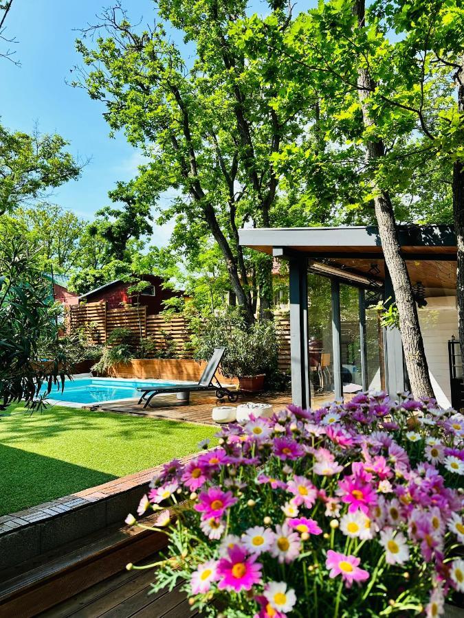 Pine-Wood Resort Балатональмаді Екстер'єр фото